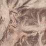 Himalayan paper texture 4