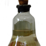 Pear in a bottle - PNG