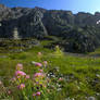 Picos de Europa 127 - Mountain and pink flowers