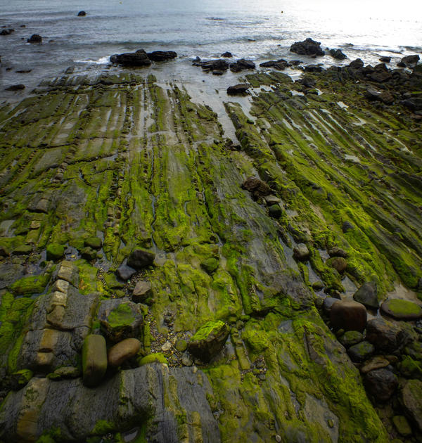 Seaside rocks texture - 167