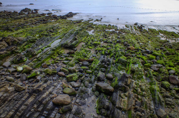 Seaside rocks texture - 166