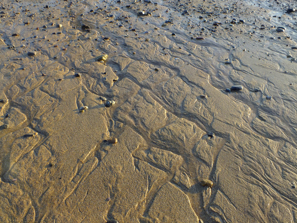 Seaside sand texture - 169