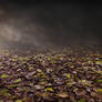 Premade 01 - Fall