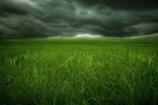 Premade 23 - Grass