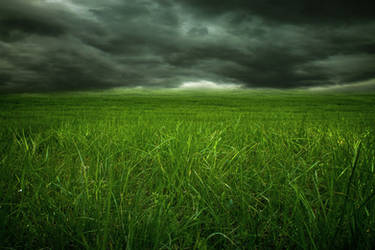 Premade 23 - Grass