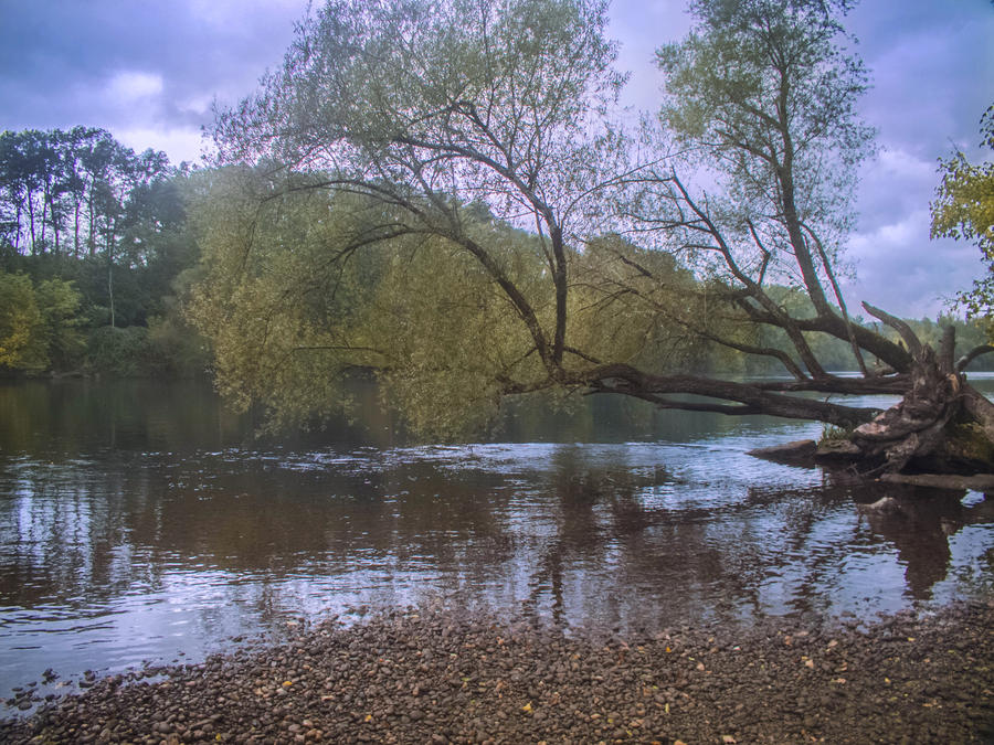 Autumn 2014 - The river 04