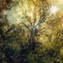 Forest Path - Premade BG 02