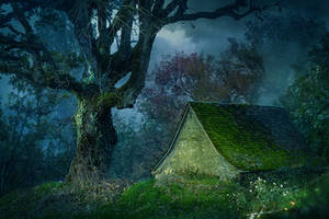 Fairytale 1 by HermitCrabStock Fairytale 1 by HermitCrabStock