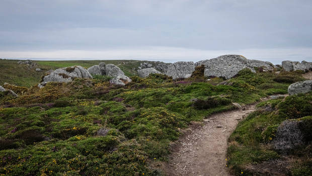 Brittany 07 - Rocks and Heath