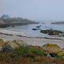 Brittany 13 - Foggy seaside