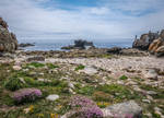 Ouessant Island 20 -  Rocks and Heather