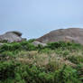 Brittany 35 - Pink Granite Coast