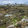 Brittany 50 - Rocky Beach Texture