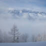 Chamonix Mt Blanc 063 - Snowy mountains