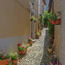 Ariege 032 - St Lizier Narrow Street