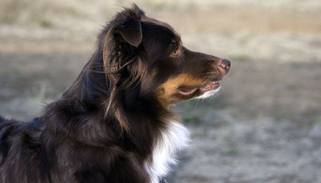 Frumpy. by SYSPLUCK on DeviantArt