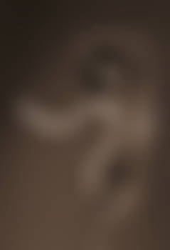 Nude28