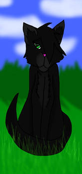 Hollyleaf