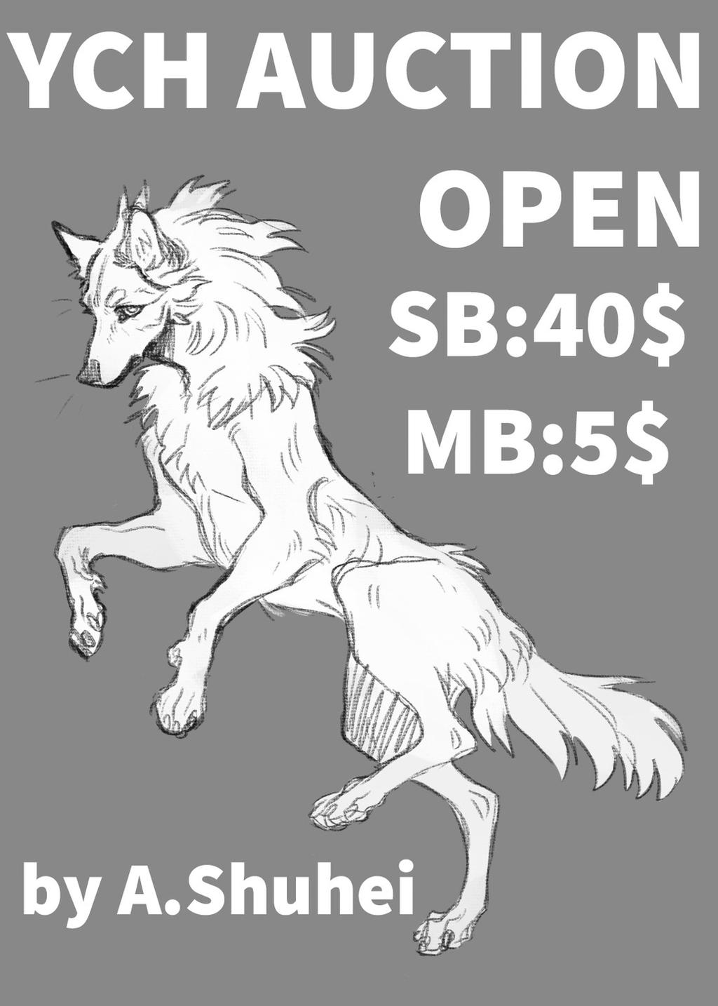 YCH AUCTION OPEN