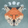 Foxes on the Run - Supernova