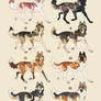 10 adopters CLOSED