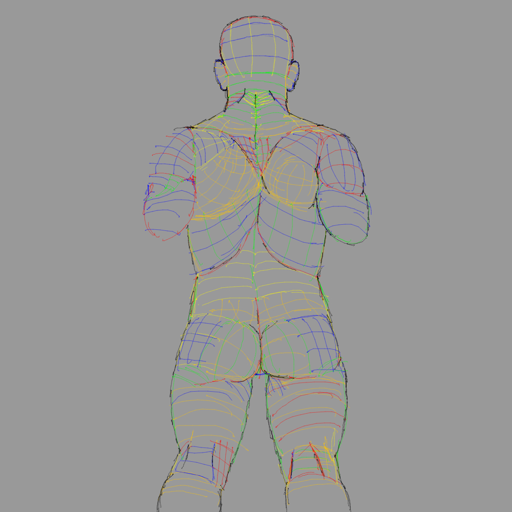 Torso Back View Torso Practice Back View by SuperSketchyZero2099 on DeviantArt