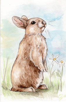 Mr. Rabbit ~ Art Journal