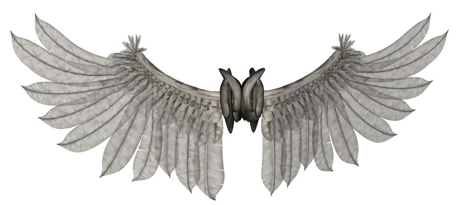 wings 9