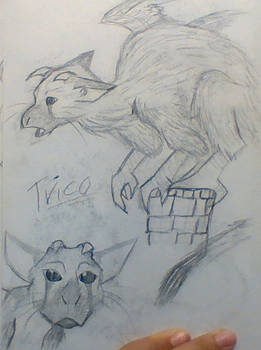 Trico