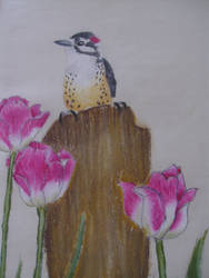 The Bird with Tulips