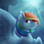 Rainbow Dash Poster