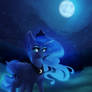 Lunar Stroll