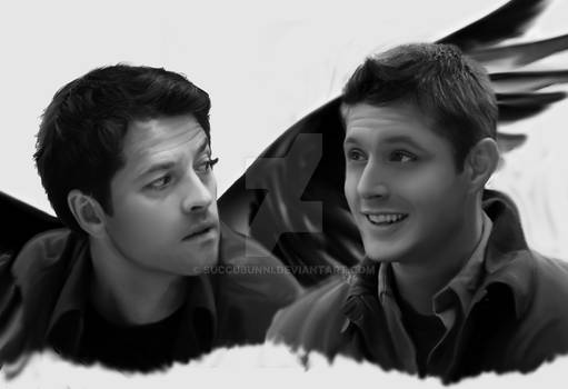 Birds of a Feather - Destiel