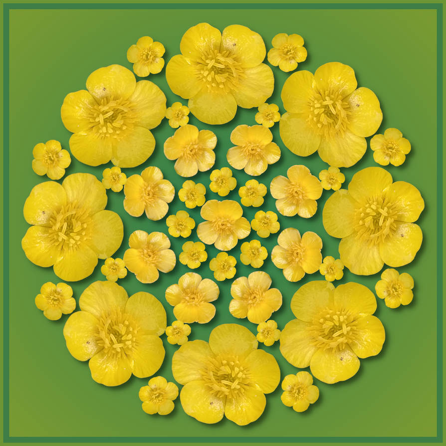 Butercup Pattern Buttercup Pattern by muffinn2 on DeviantArt