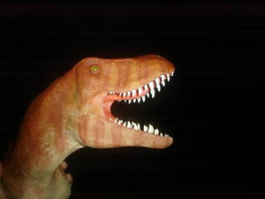 Tyrannosaurus rex