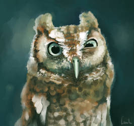 Ooooowl by Ludmila-Cera-Foce