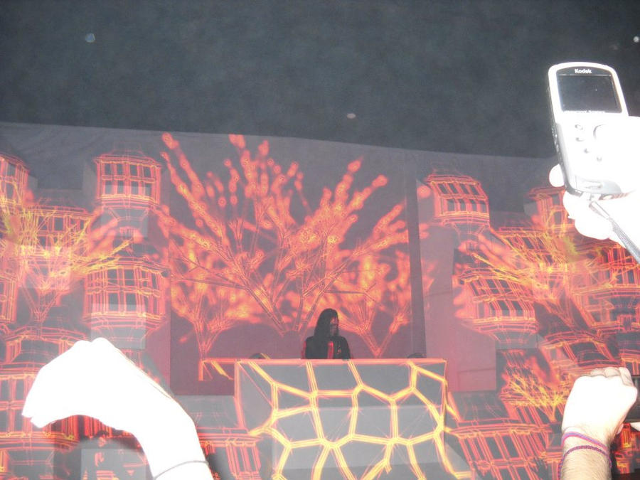 Skrillex Concert...OMG!