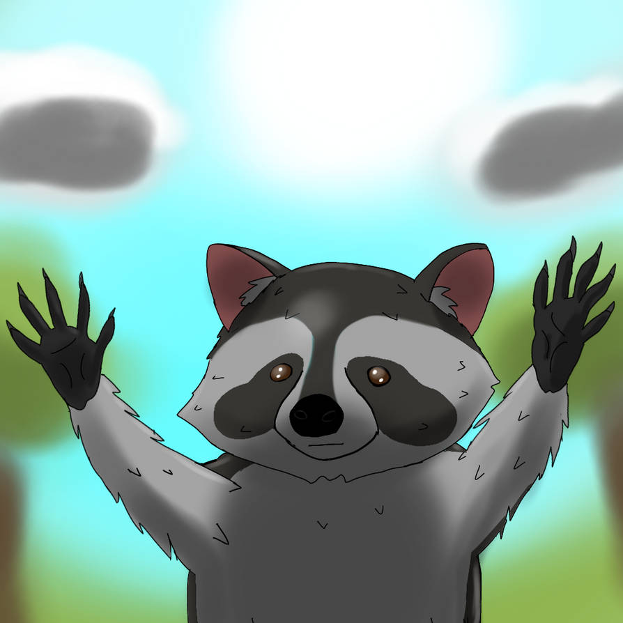 Deviantart Racoon Raccoon by mwne on DeviantArt