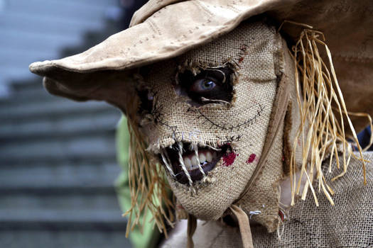 Scarecrow Cosplay P3