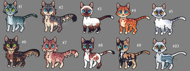 Cat Adopts 9 [CLOSED]