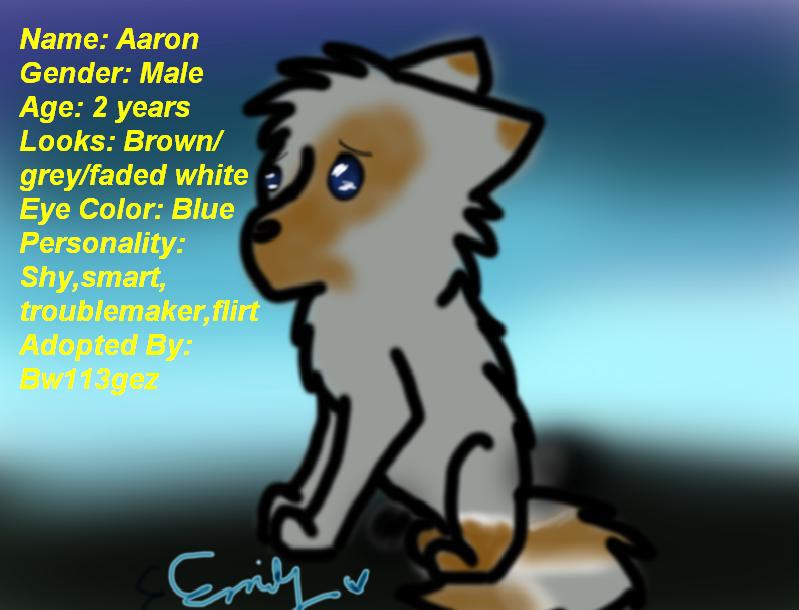 Aaron's Bio