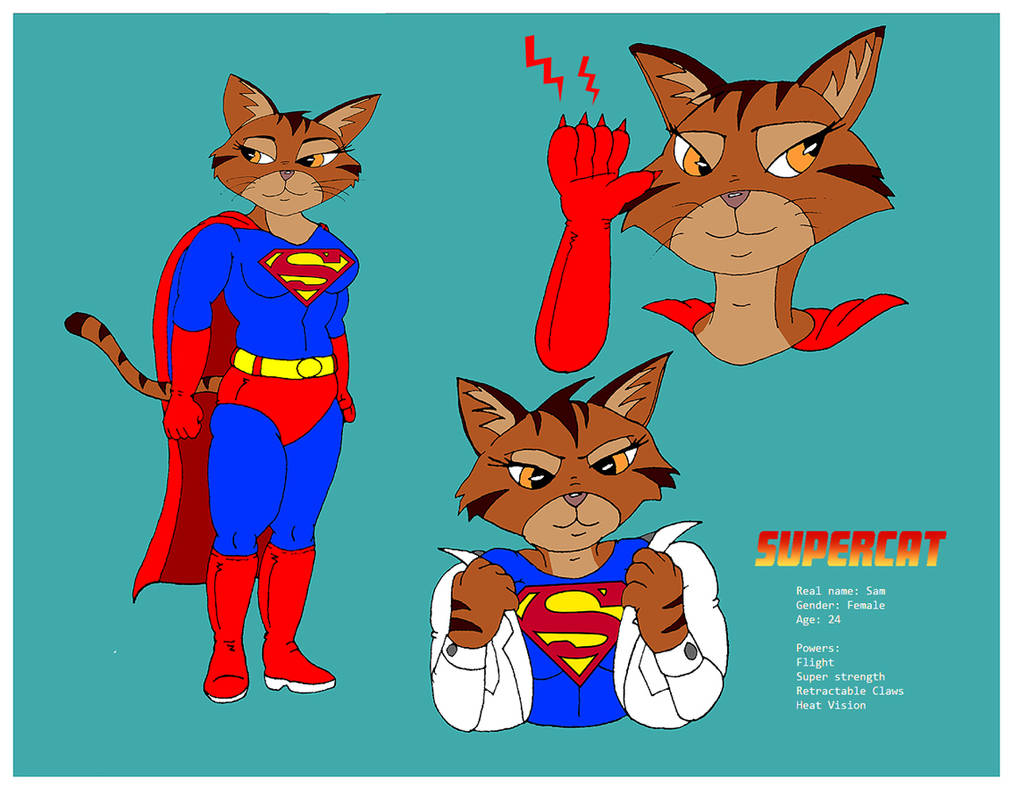 Super Cat Roro Supercat - Art Board by Cartoon-Critters on DeviantArt
