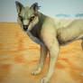 Feral Heart Wolf Preset