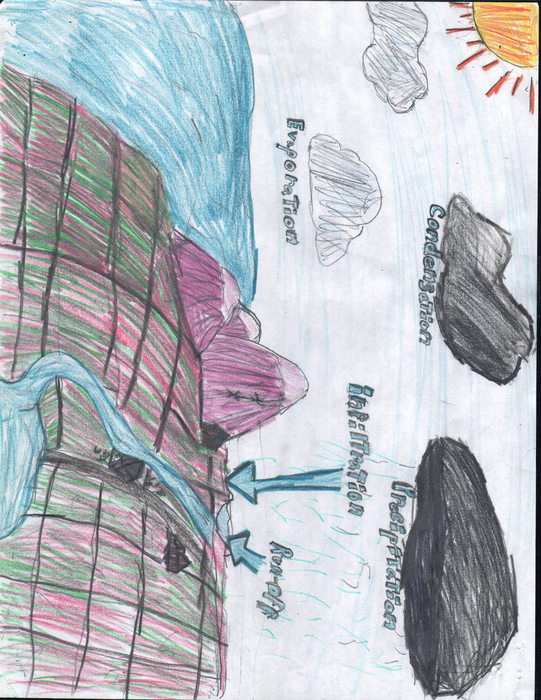 5th Grade Water Cycle by randomscannings on DeviantArt