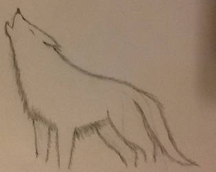 Howling Wolf Line Art