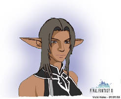 Final Fantasy XI Character