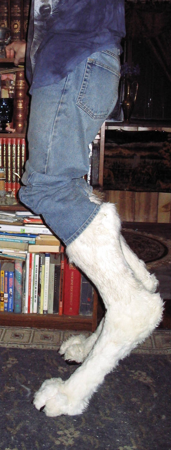 New Build Digitigrade Legs 3 by TheCostumeArchive on DeviantArt