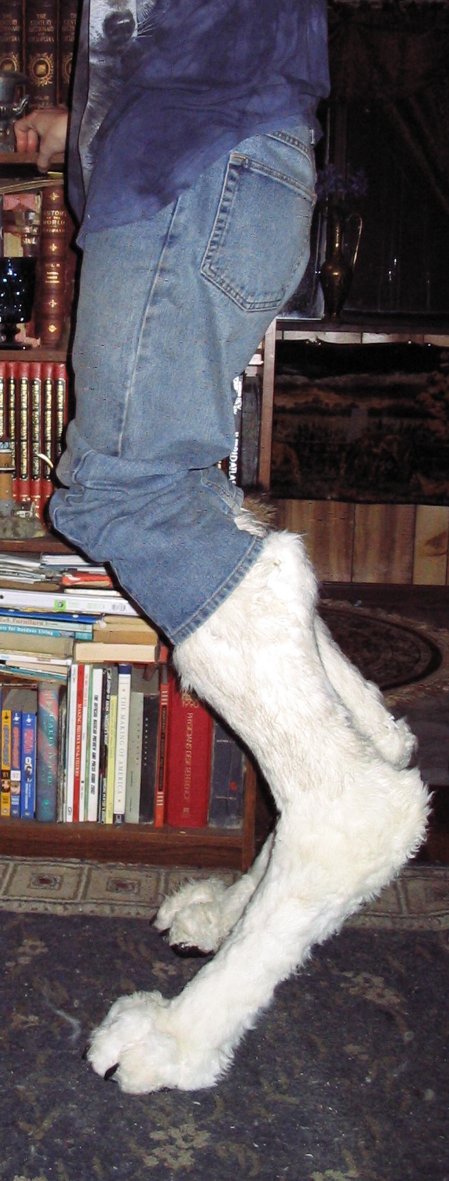 New Build Digitigrade Legs 3