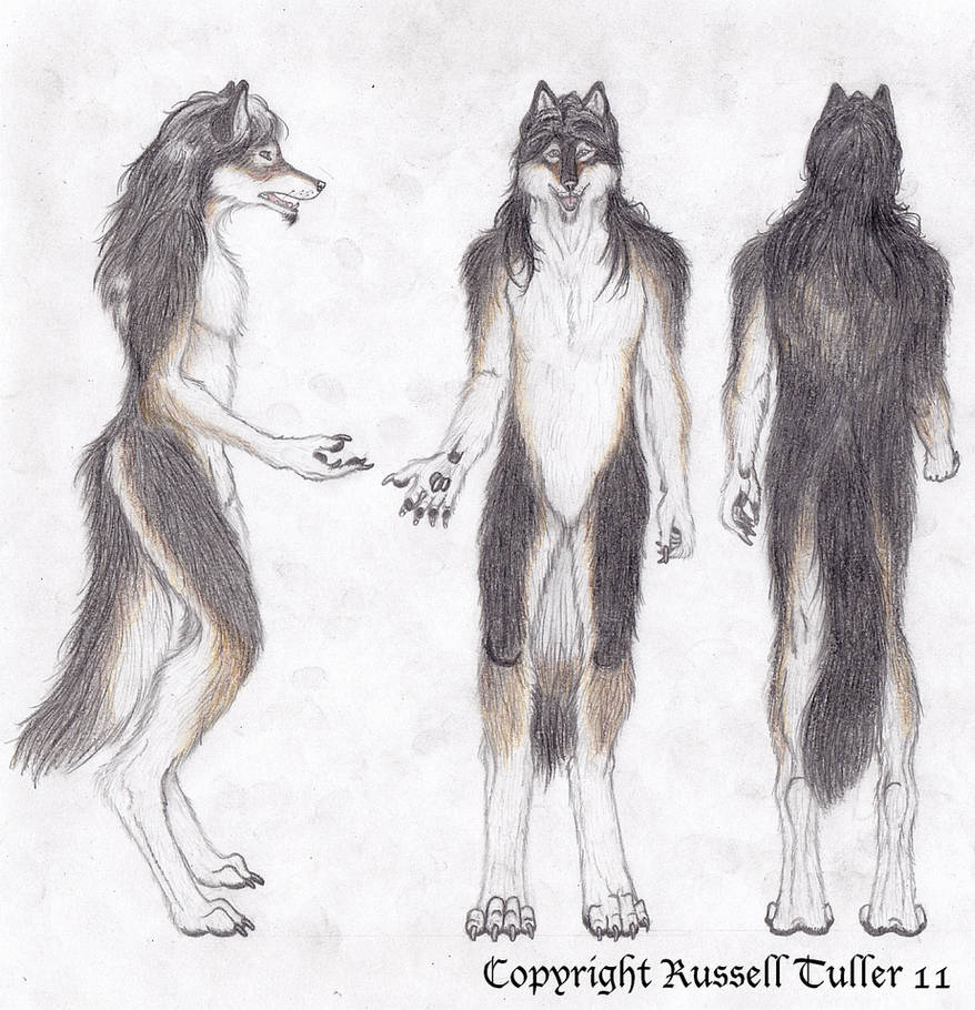 Anthro Wolf Costume Concept