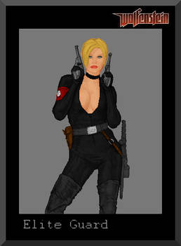 Wolfenstein Elite Guard